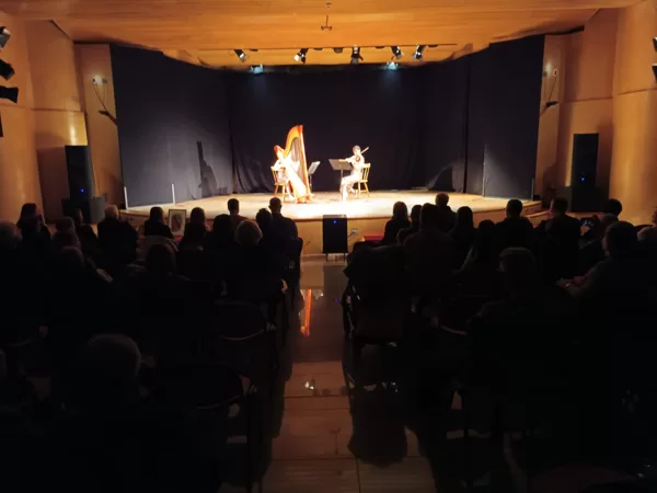 Inizia il concerto di musica classica con il duo violino e arpa