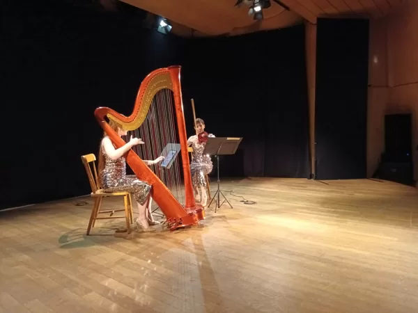 Arpa e violino