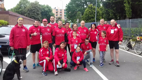 Vighignulada 2019