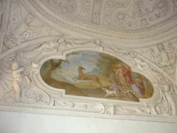 Affreschi interni alla Reggia