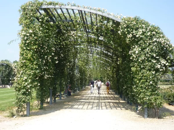 Gallerie Floreali